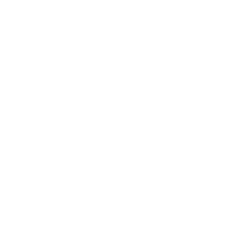 picto mégaphone